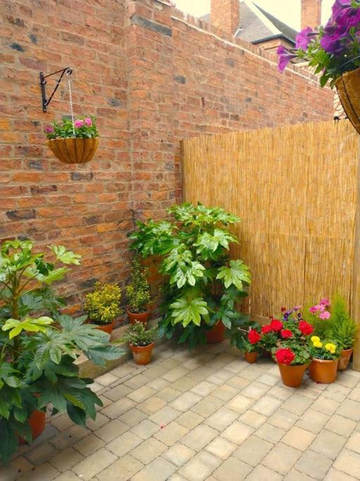 The Boutique Garden Apartamento York
