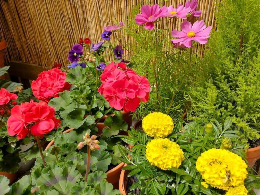 Apartamento The Boutique Garden York
